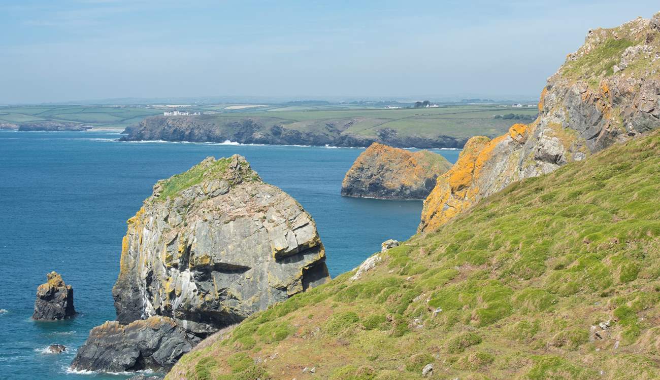 The dramatic coastline.