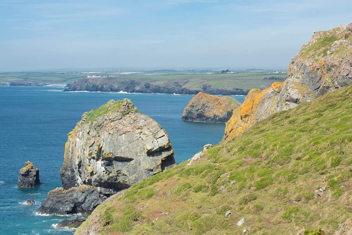 The dramatic coastline.