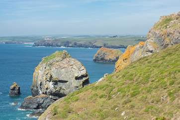 The dramatic coastline.