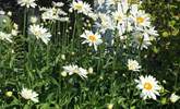 The flower borders create a lovely display. - Thumbnail Image