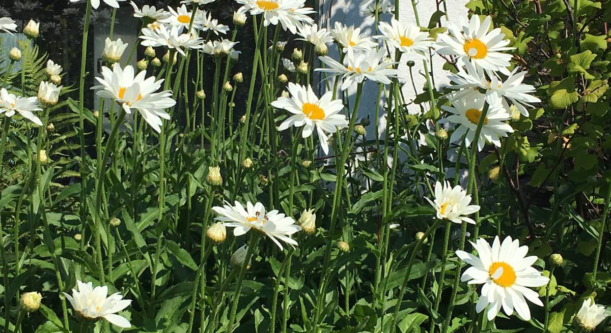 The flower borders create a lovely display.