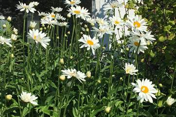 The flower borders create a lovely display.