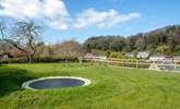 There is a trampoline in the garden, set into the lawn. - Thumbnail Image