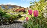 The garden in springtime. - Thumbnail Image