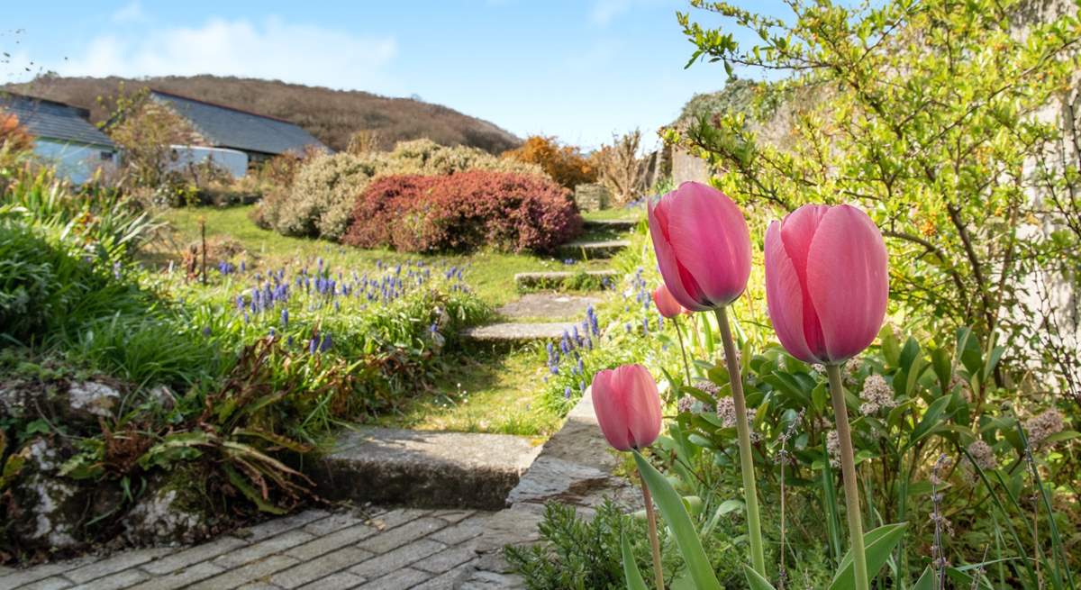 The garden in springtime.