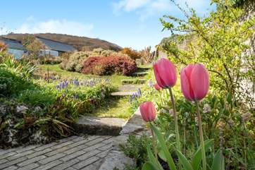 The garden in springtime.
