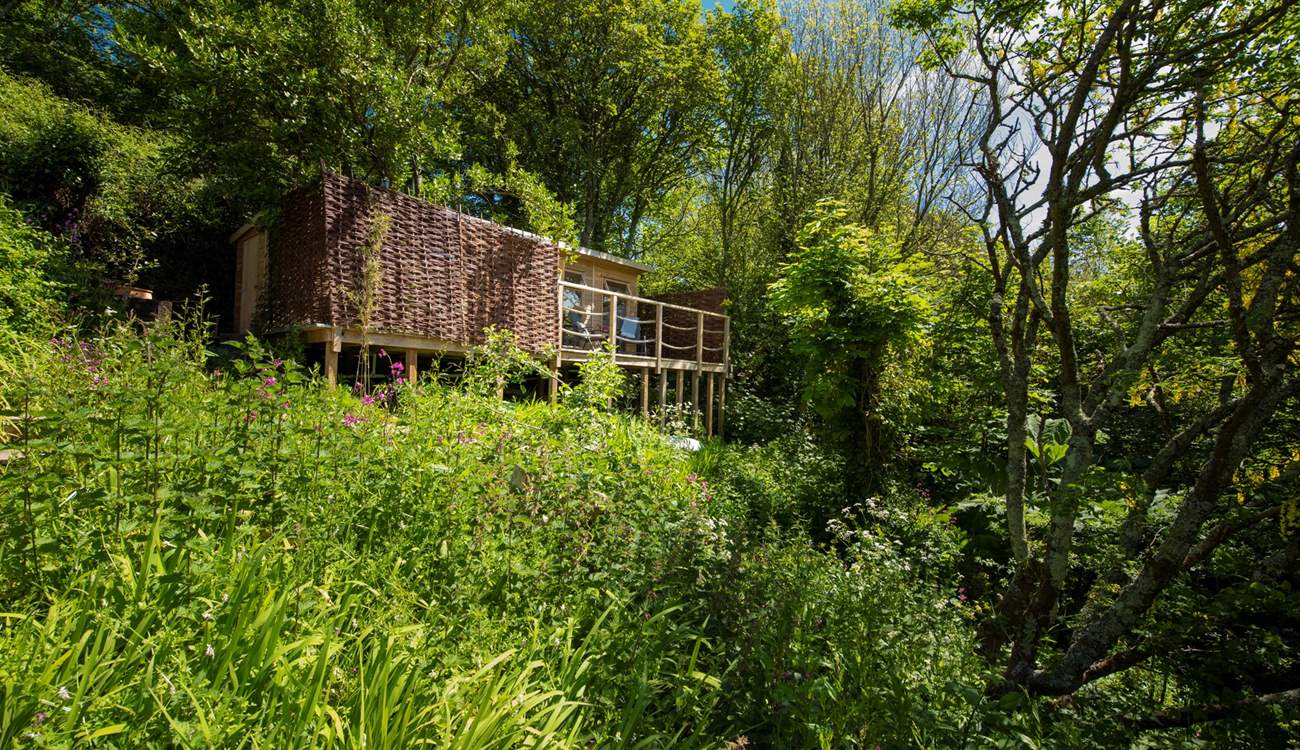 A magical setting, giving an 'away from the world' feel yet close to the sea, beach and village amenities.