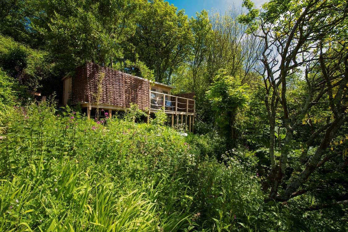 A magical setting, giving an 'away from the world' feel yet close to the sea, beach and village amenities.