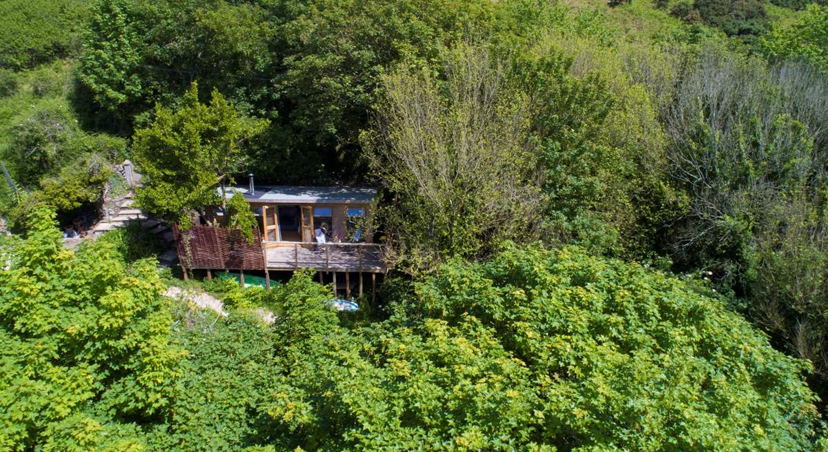 This idyllic retreat is sat high up in the trees with a peaceful stream trickling below and the sea only a short walk away. 