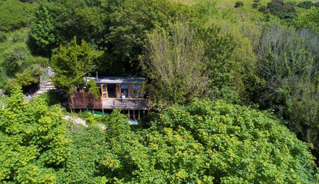 This idyllic retreat is sat high up in the trees with a peaceful stream trickling below and the sea only a short walk away. 