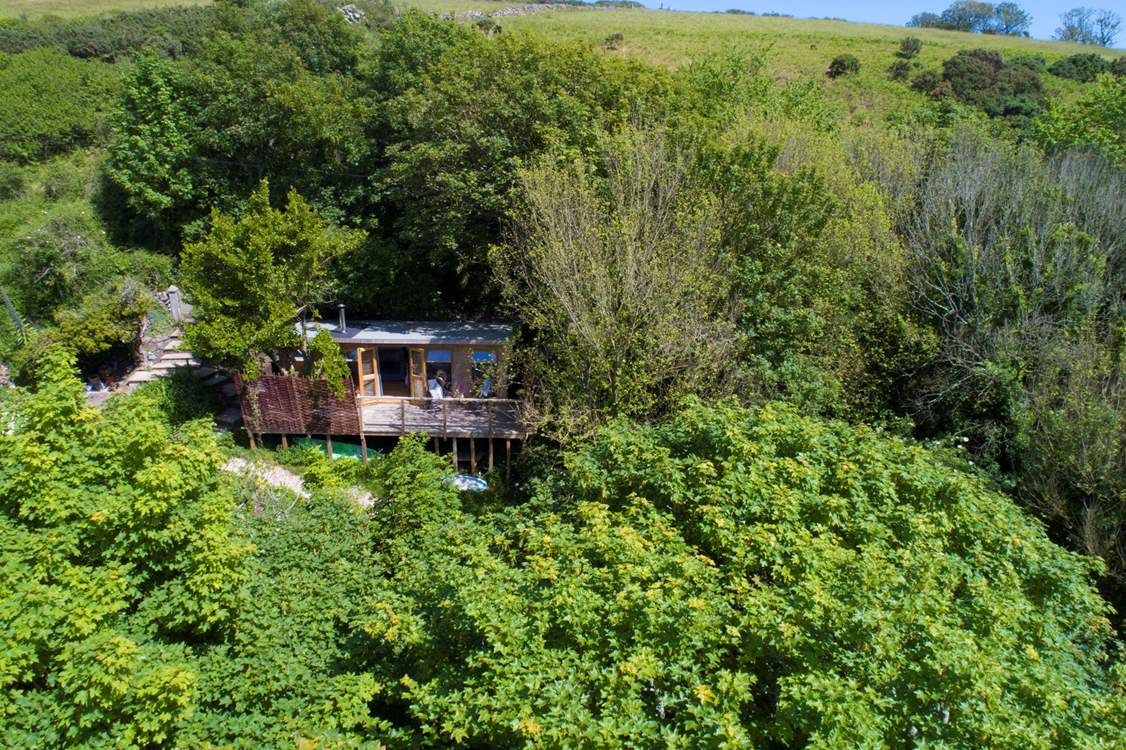 This idyllic retreat is sat high up in the trees with a peaceful stream trickling below and the sea only a short walk away.