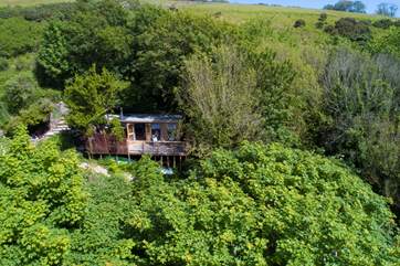 This idyllic retreat is sat high up in the trees with a peaceful stream trickling through below and the sea only a few yards away.