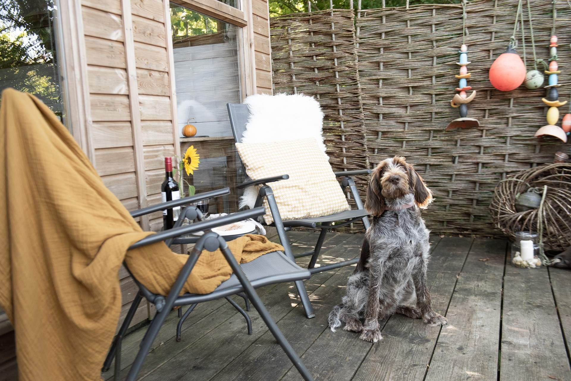 They will love Tree Tops, just as much as you! 