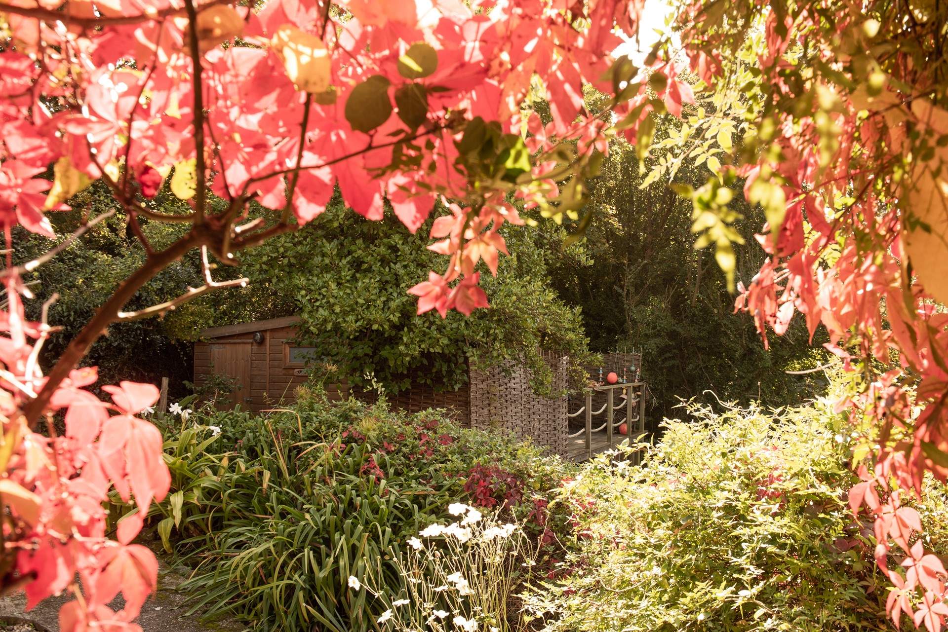 Beautiful throughout every season. 