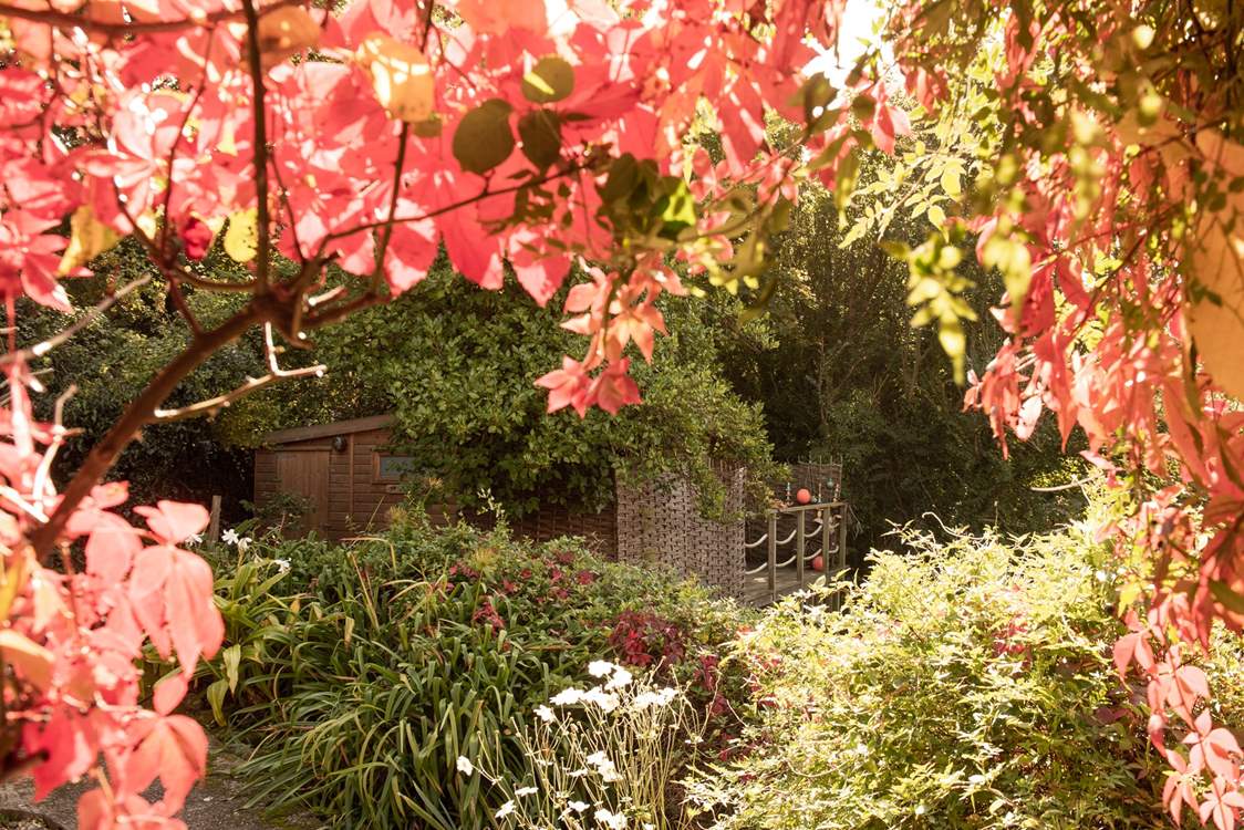 Beautiful throughout every season.