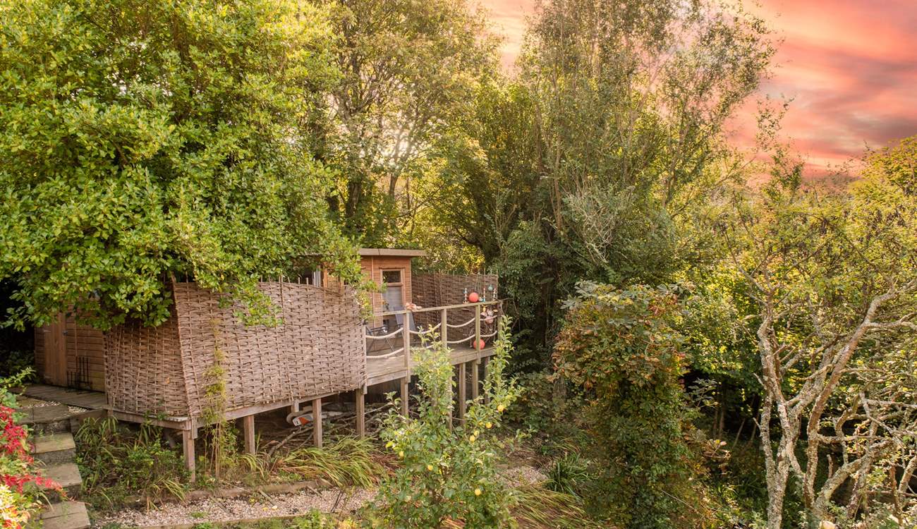 As dusk falls the treehouse becomes ever more dreamy. 