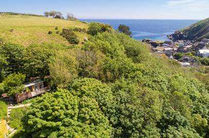Tree Tops Cabin in Cadgwith