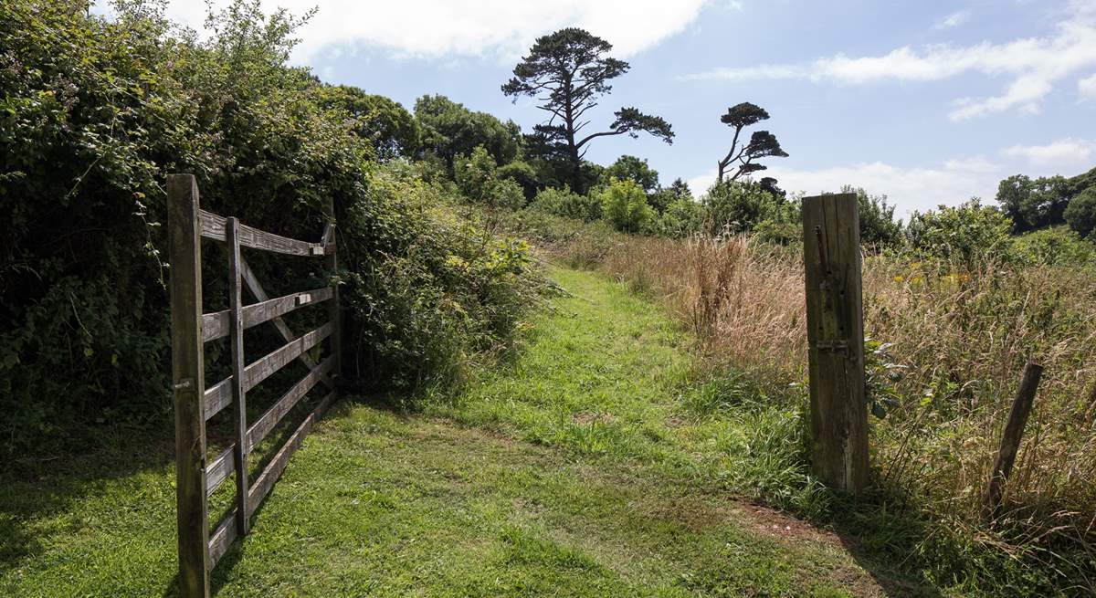 For the walkers of the party, there are numerous walks and paths which lead out from the Stancombe Manor grounds.