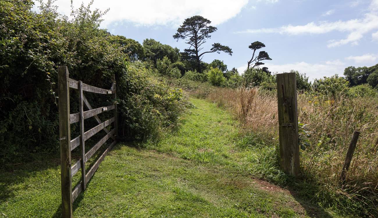 For the walkers of the party, there are numerous walks and paths which lead out from the Stancombe Manor grounds.