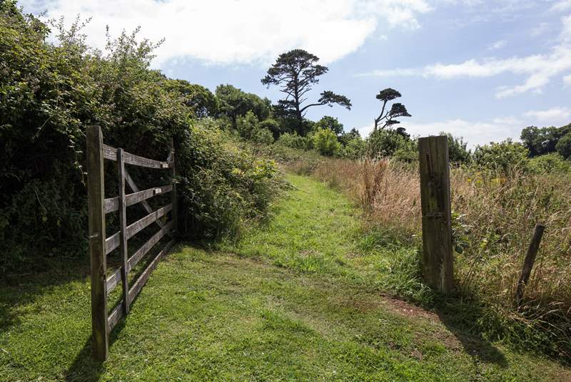 For the walkers of the party, there are numerous walks and paths which lead out from the Stancombe Manor grounds.
