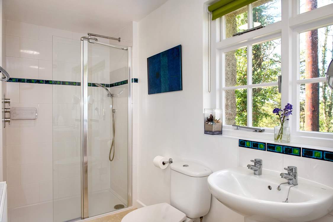 The shower-room is on the ground floor and looks out over the woods.