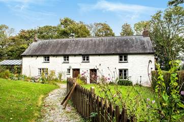 A very pretty garden at the front of Rosemerryn Cottage.