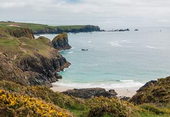 Kynance Cove is only  a short drive away and it is beautiful. 