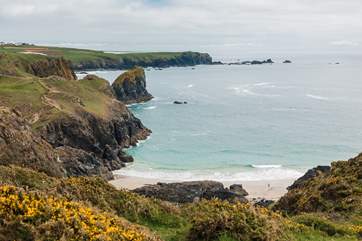 Kynance Cove is only a short drive away and it is beautiful.