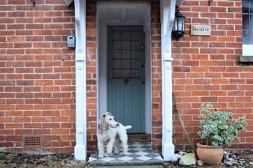 Lucaster accepts one dog, so why not bring your furry friend along on holiday!