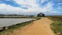 Newtown Creek Nature Reserve is a great spot for bird watching.