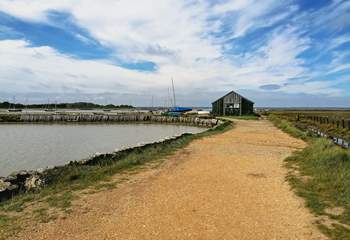 Newtown Creek Nature Reserve is a great spot for bird watching.