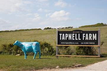 Tapnell Farm is definitely a place to visit with the little ones!