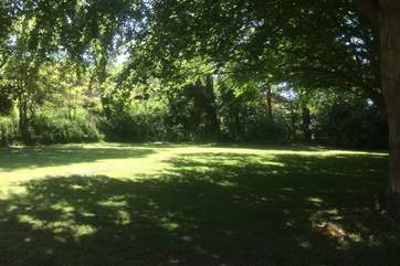 A great space to picnic or play ball games!