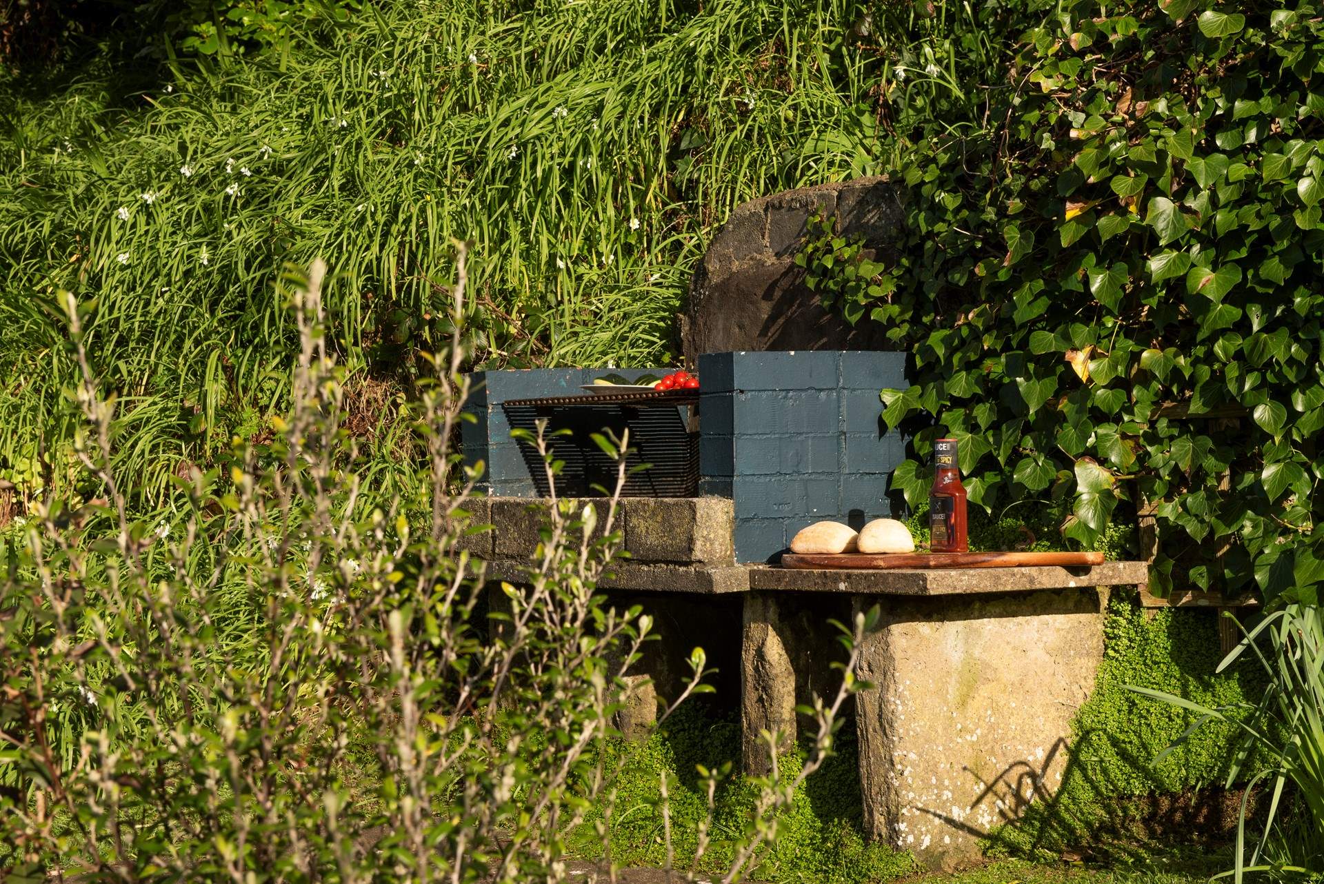The barbeque is perfect for a summers day. 