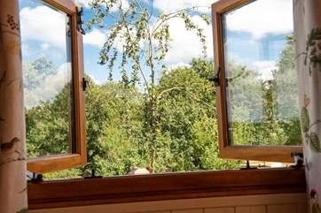 This is the view from your bed, looking out to the plum tree and bird table - what kinds of wildlife will you spot?