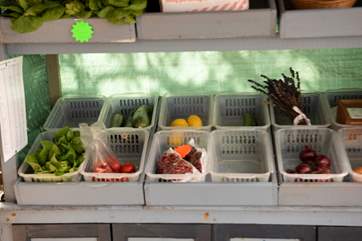 Plenty of fresh fruit and vegetables to choose from.