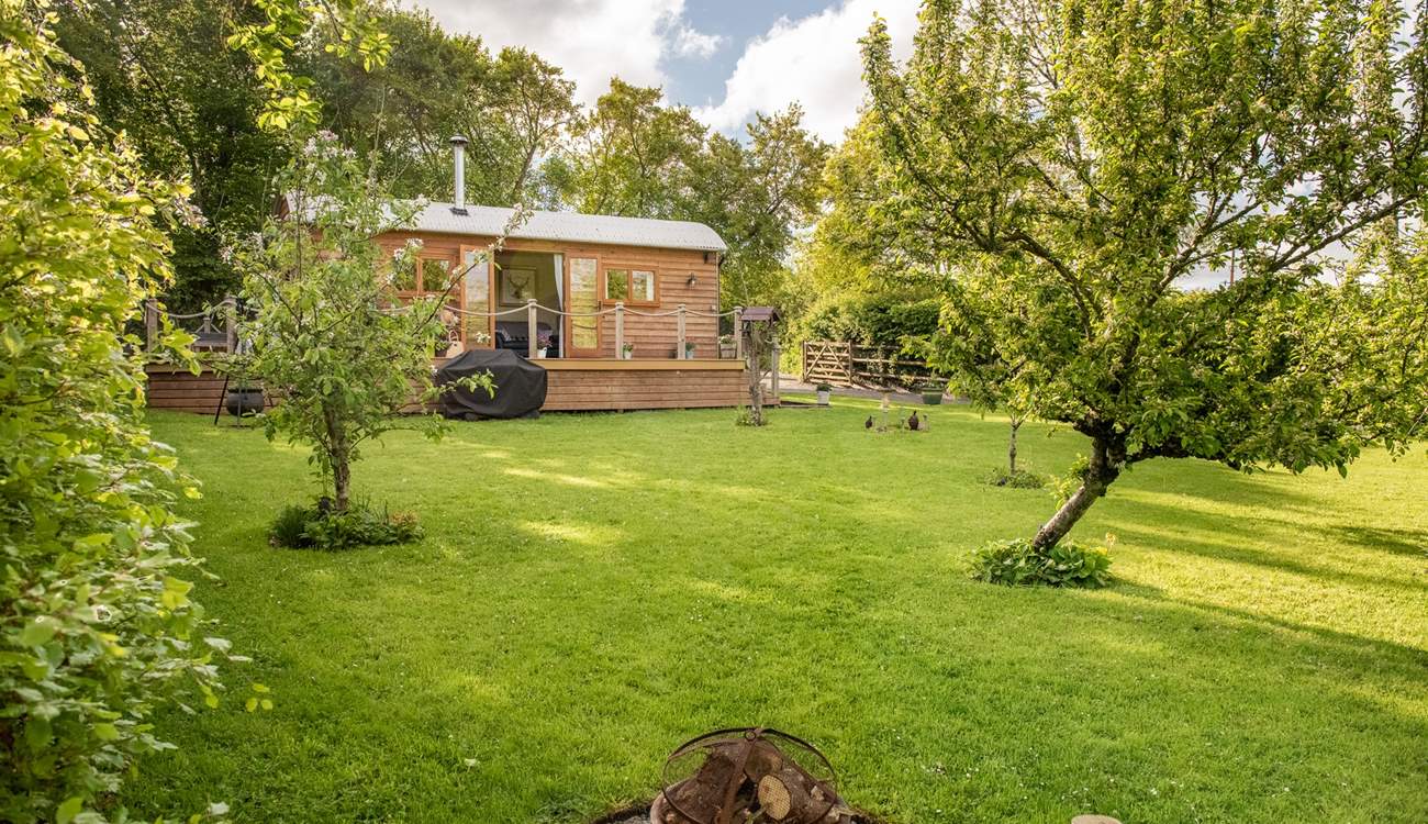 You may never want to leave. 