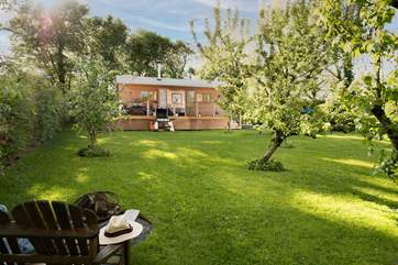 The orchard is private and all yours to make the most of.