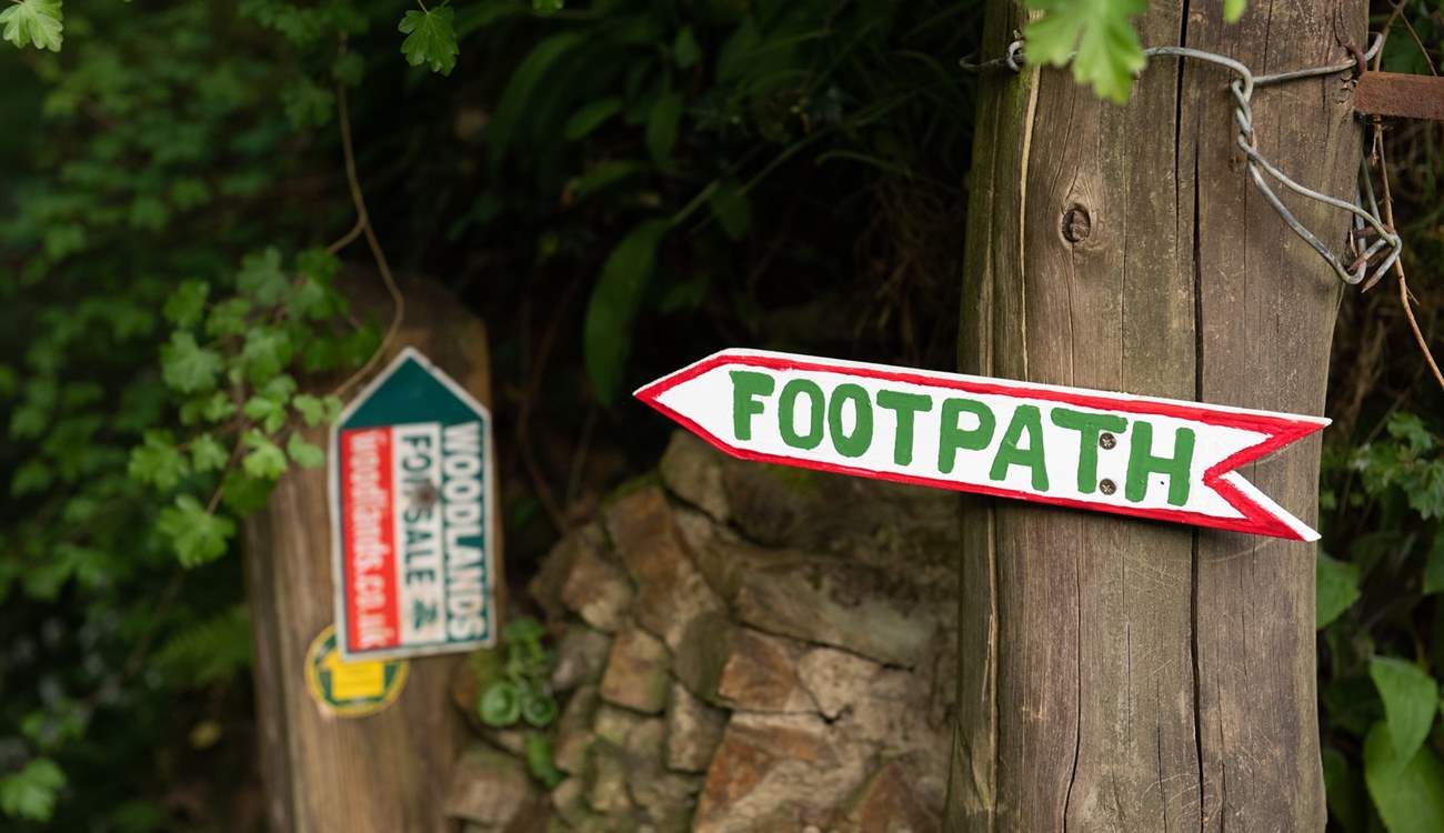 Explore your glorious surroundings.