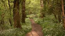 Soak up the magic of the countryside.