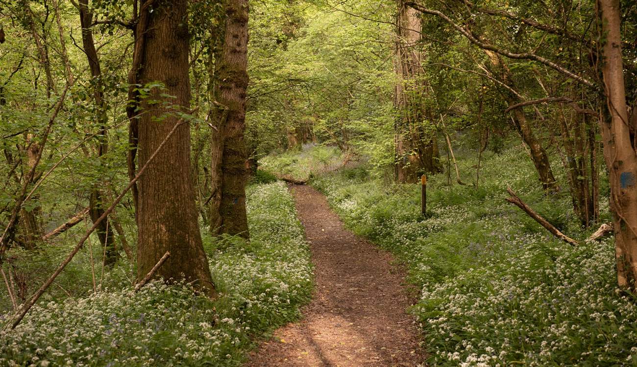 Soak up the magic of the countryside.