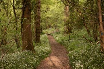 Soak up the magic of the countryside.