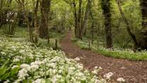 Discover the stunning walks from your doorstep.