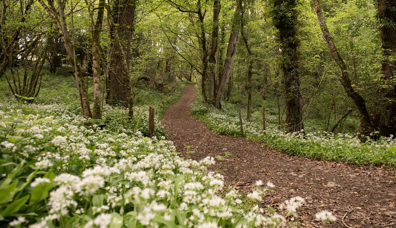 Discover the stunning walks from your doorstep.