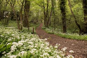 Discover the stunning walks from your doorstep.