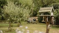 Slow afternoons are spent in the peaceful orchard.