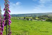 The lovely village of Lanlivery, with its friendly pub, is nearby - a path from the woodland leads you here.