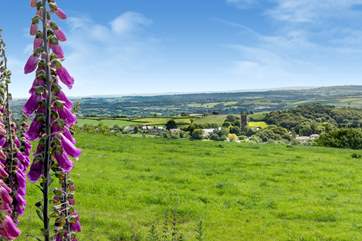 The lovely village of Lanlivery, with its friendly pub, is nearby - a path from the woodland leads you here.