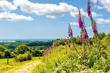 You will never tire of the view from this blissful rural setting.