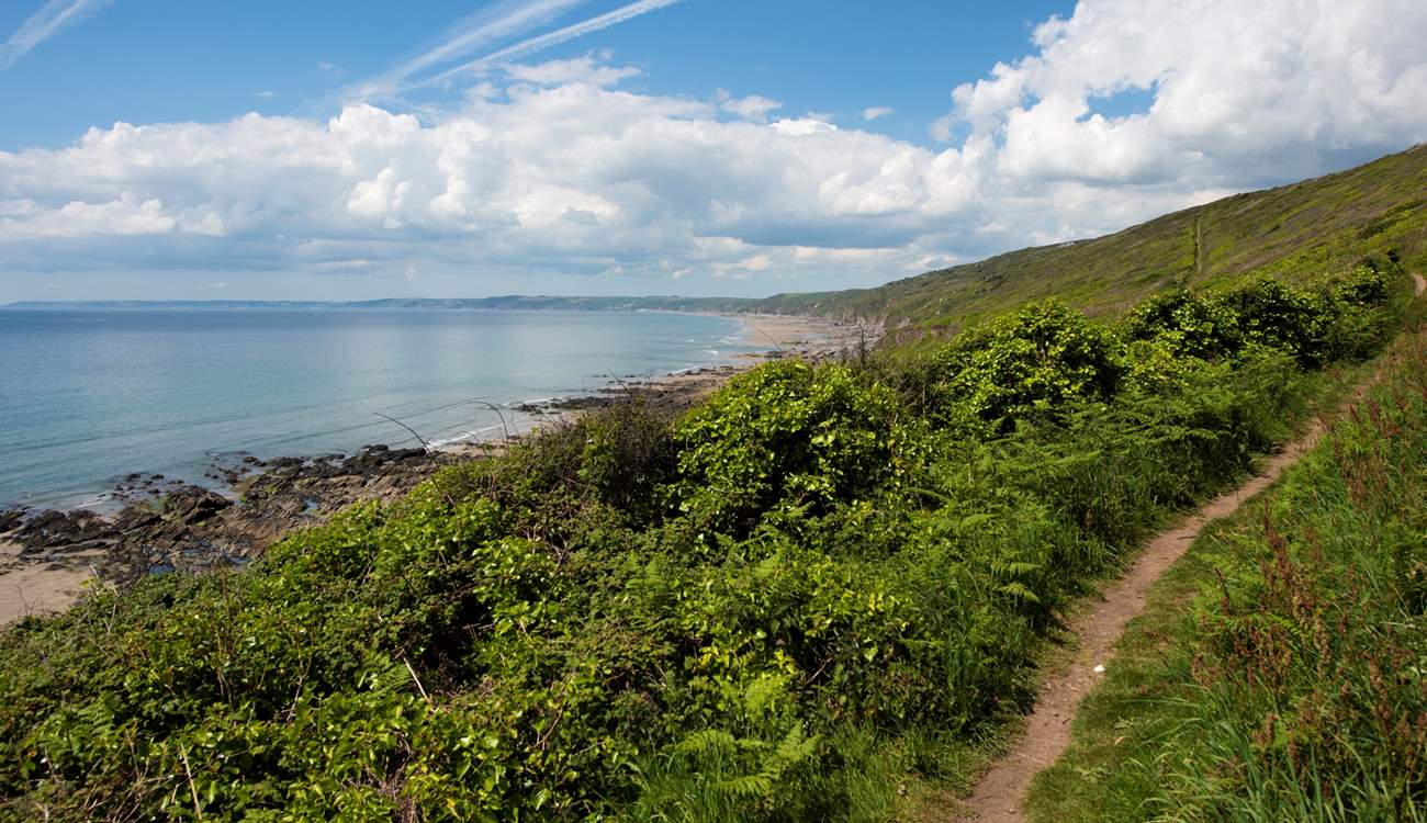 Exploring the coast path is a must -  tracks lead from the path down to the beach below.